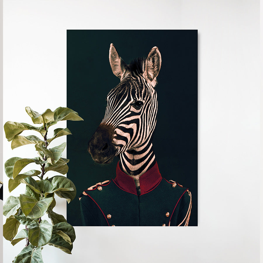 Military Zebra