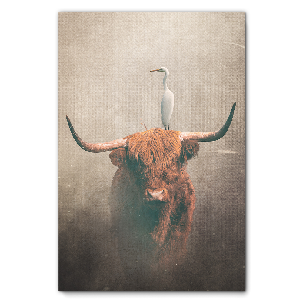 Highland Cow with Heron Light