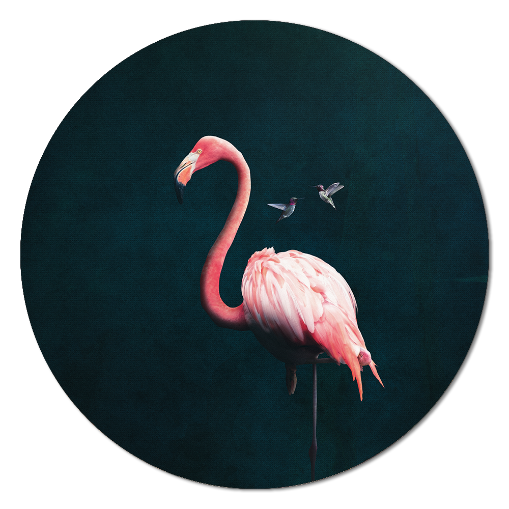Flamingo with Hummingbirds RND