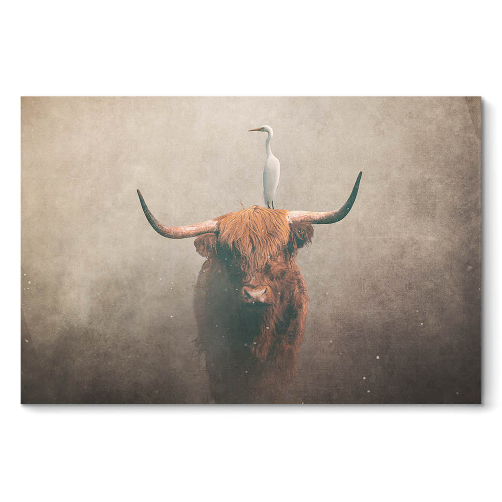 Highland Cow with Heron Light LS