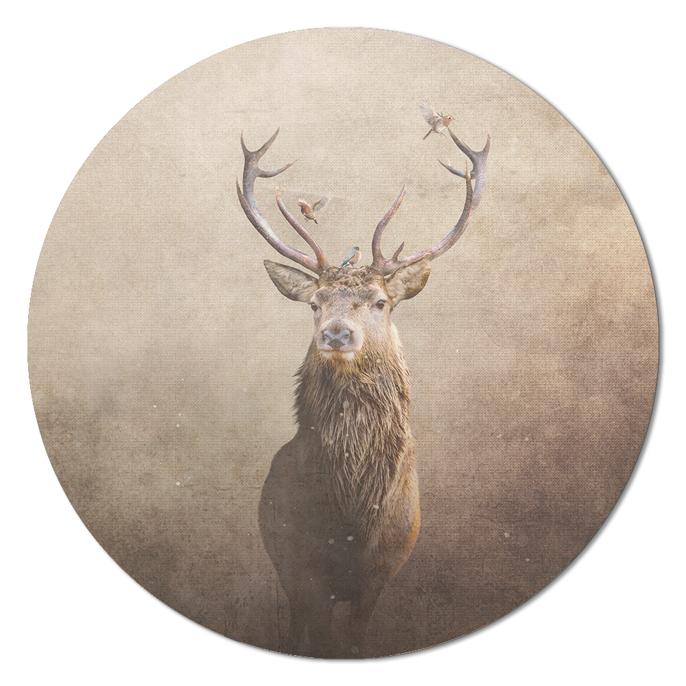 Deer with Birds Light RND