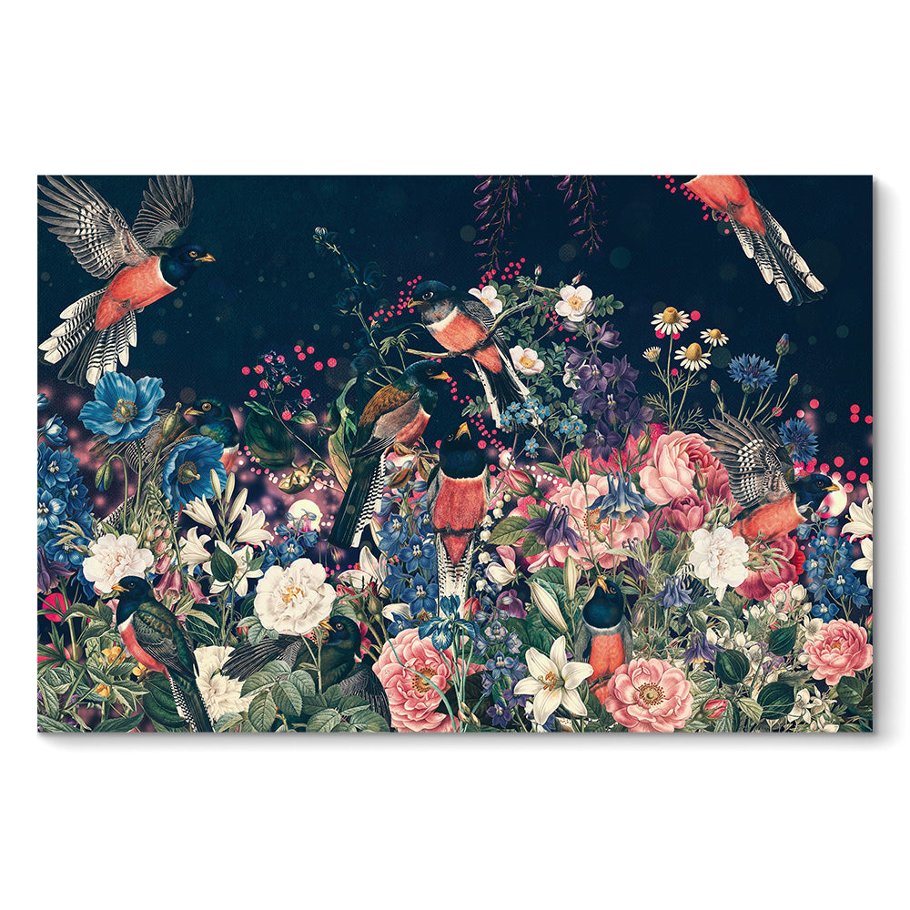 Trogon Birds LS
