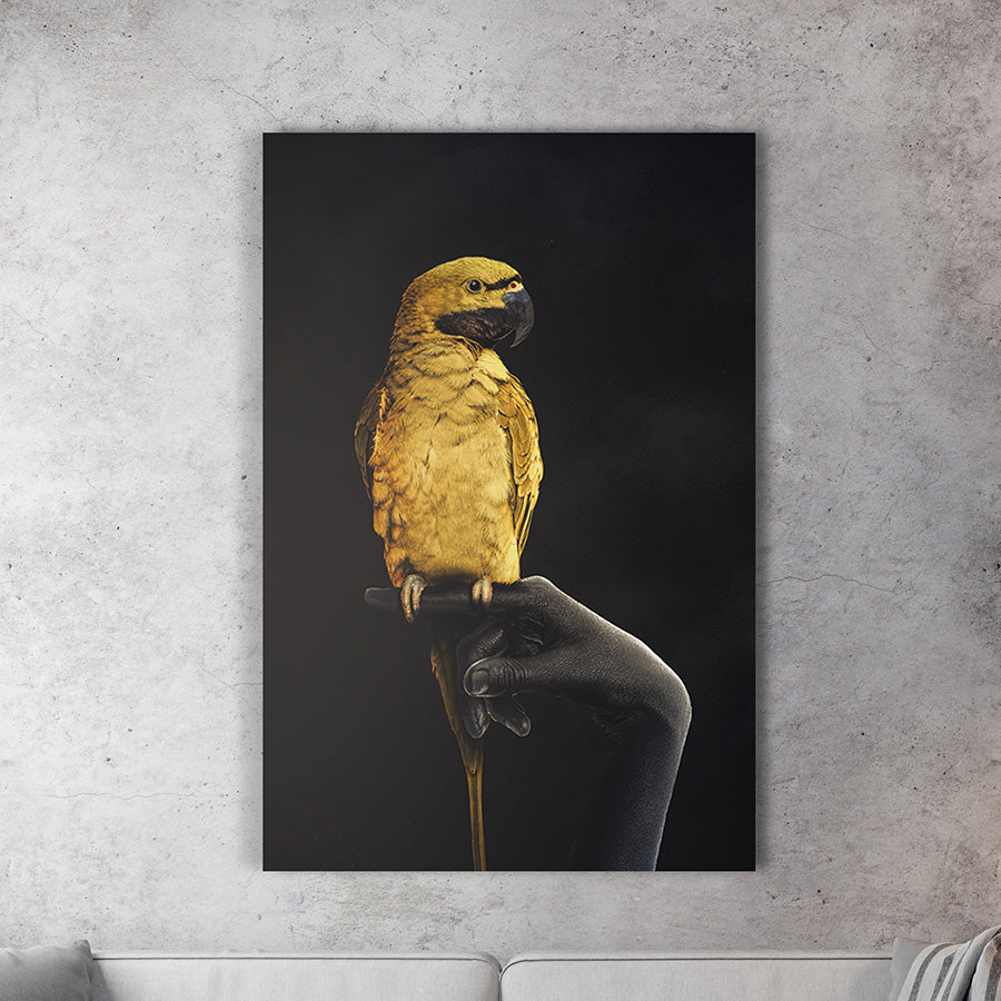 Golden Parrot