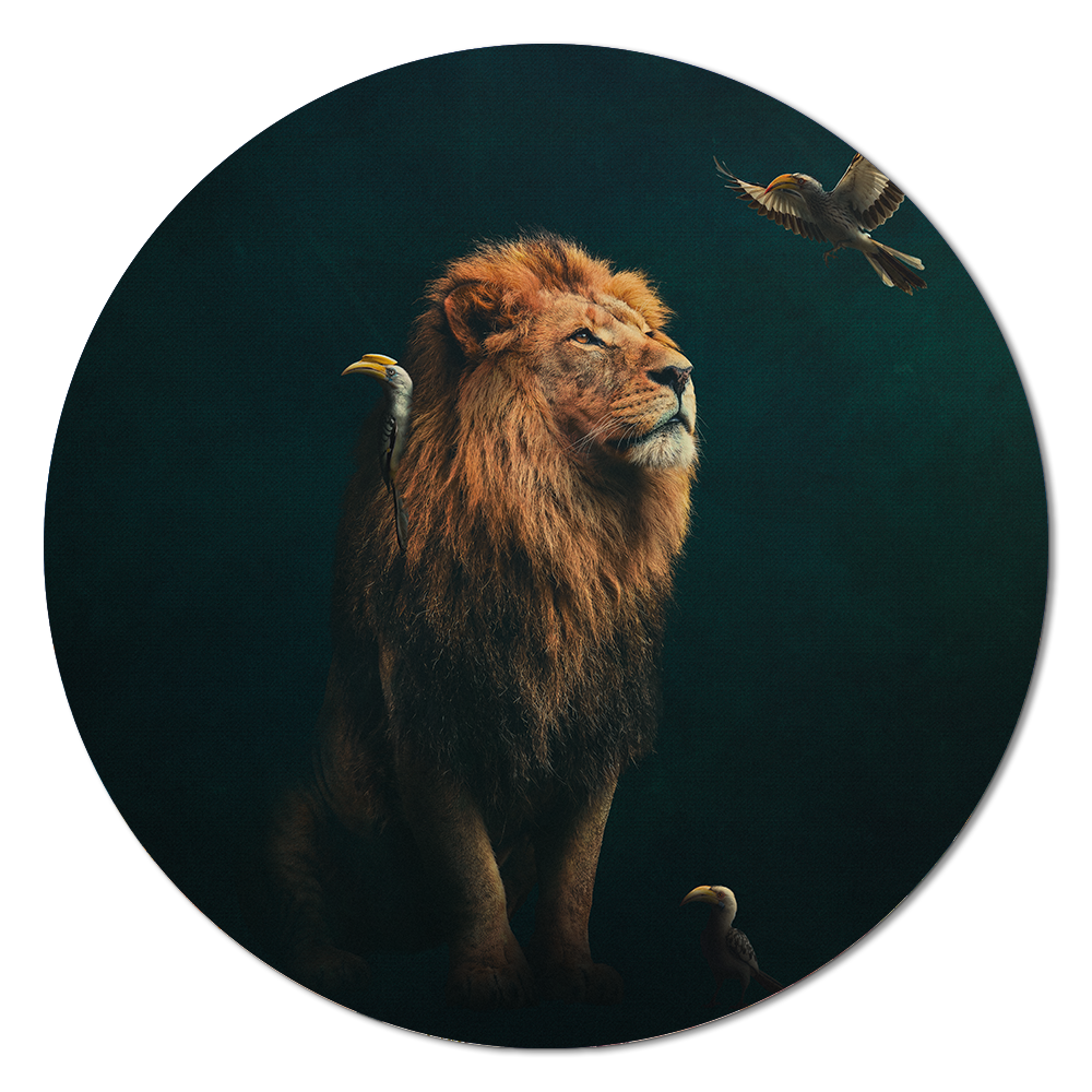 Lion with Hornbills RND