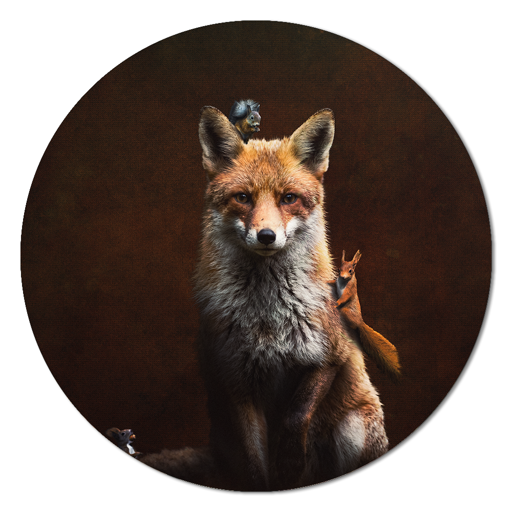 Fox with Squirrels RND
