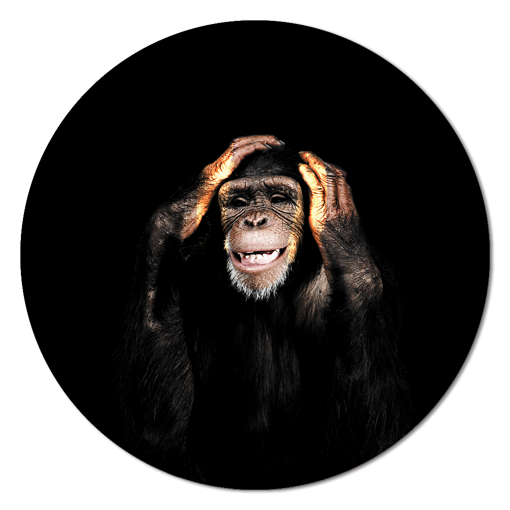 Dark Monkey Hear no Evil RND