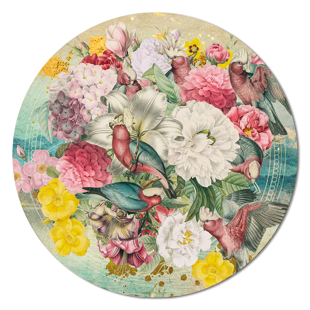 Galah Cockatoo Heaven RND