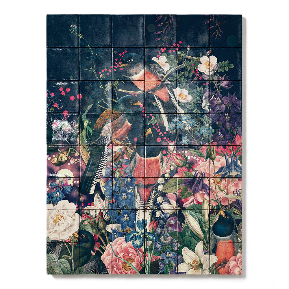 Tegel Tableau Trogon Birds