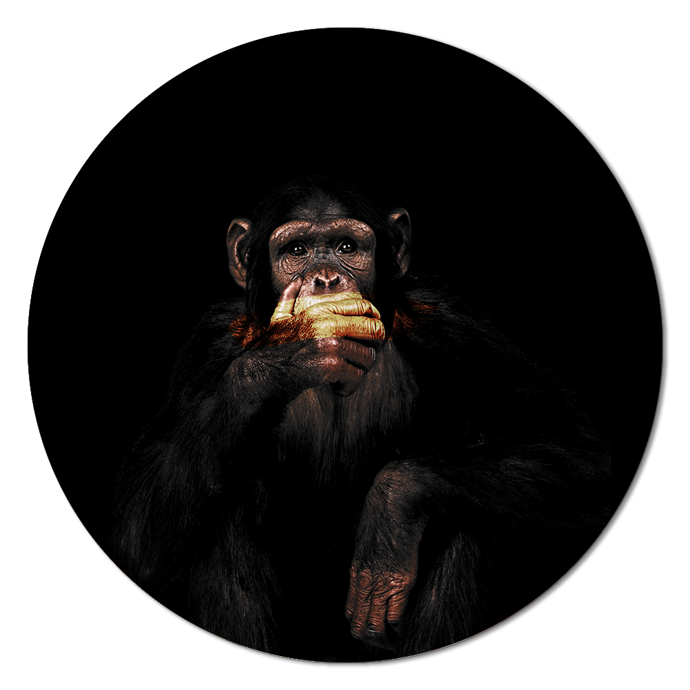 Dark Monkey Speak no Evil RND