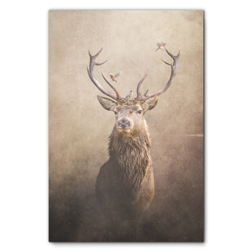 Deer with Birds Light