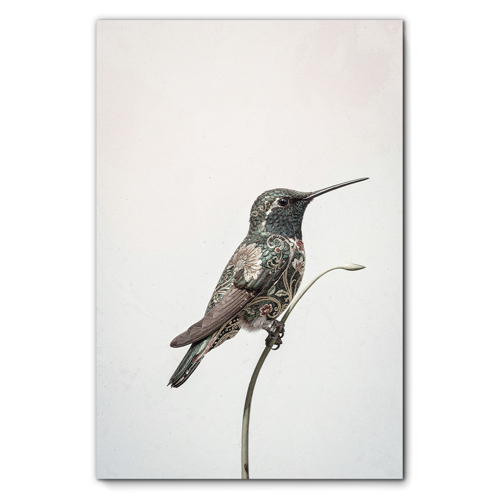 Botanical Hummingbird