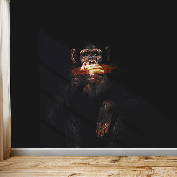 Monkey Speak No Evil Wallpaper