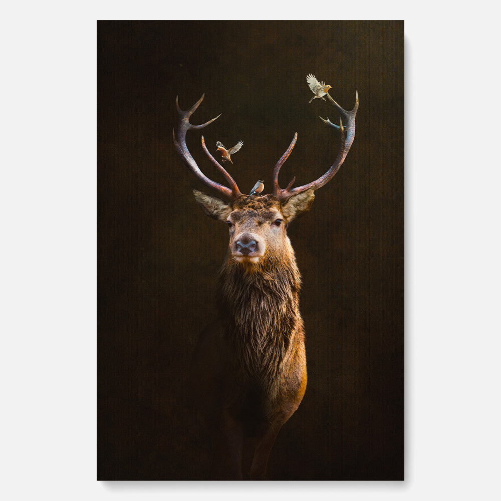 Deer with Birds
