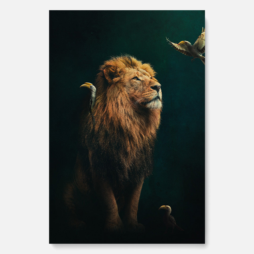 Lion with Hornbills