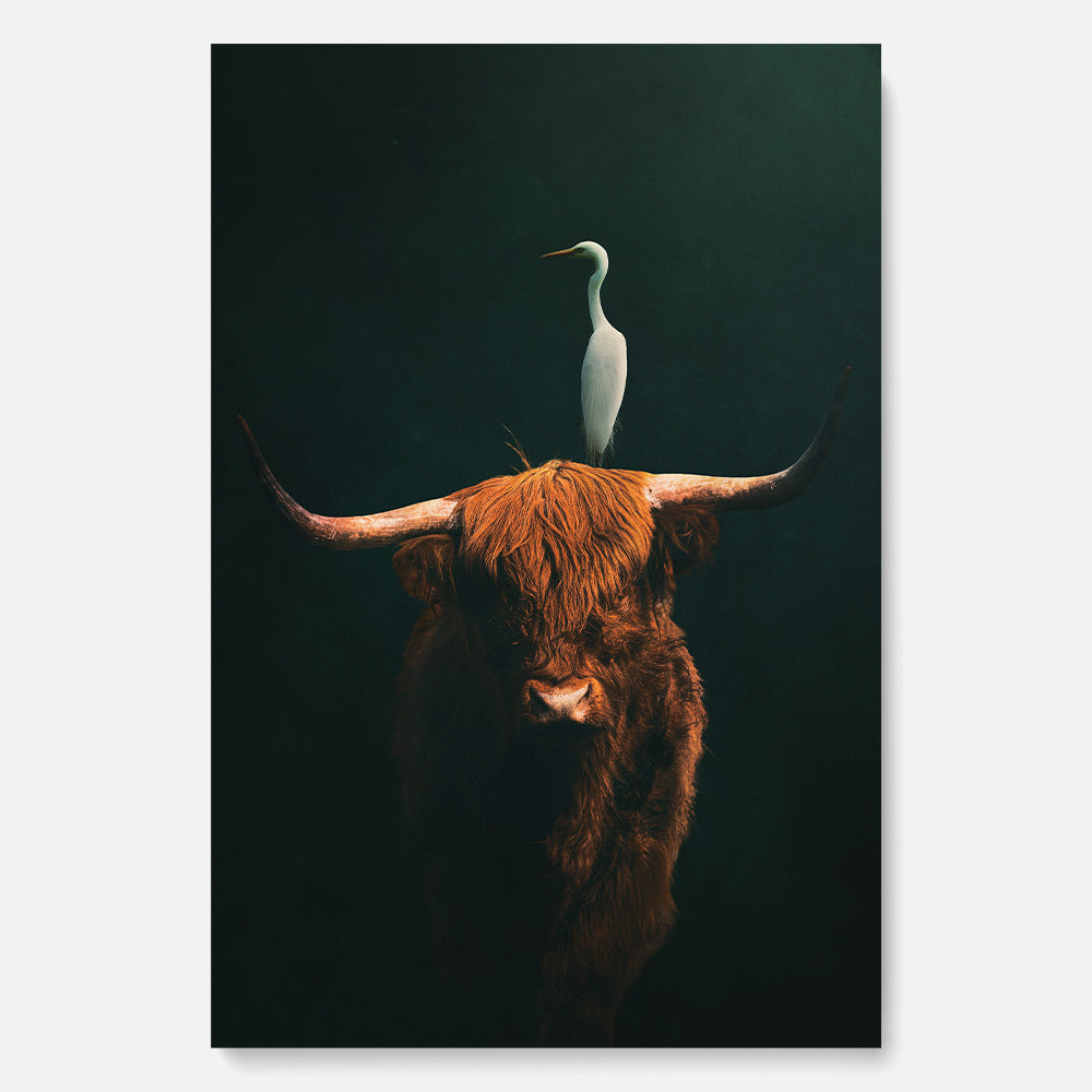 Highland Cow with Heron