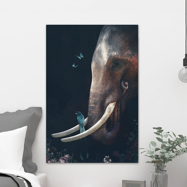 Elephant 2