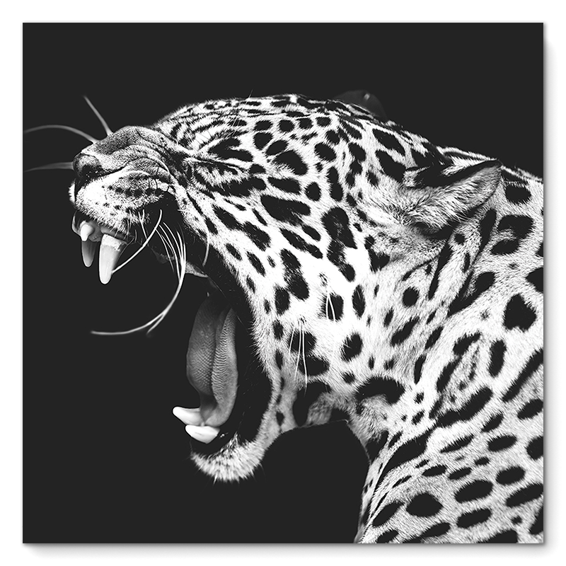 Roaring Jaguar