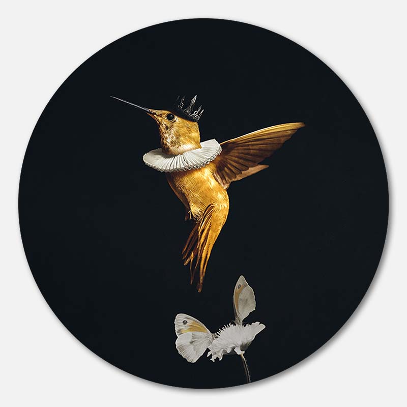 Royal Hummingbird RND