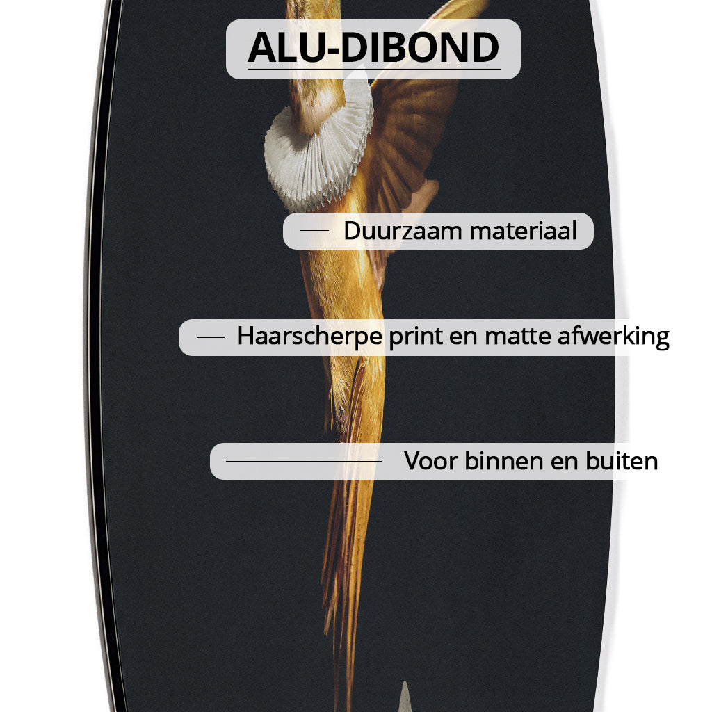 Royal Hummingbird RND