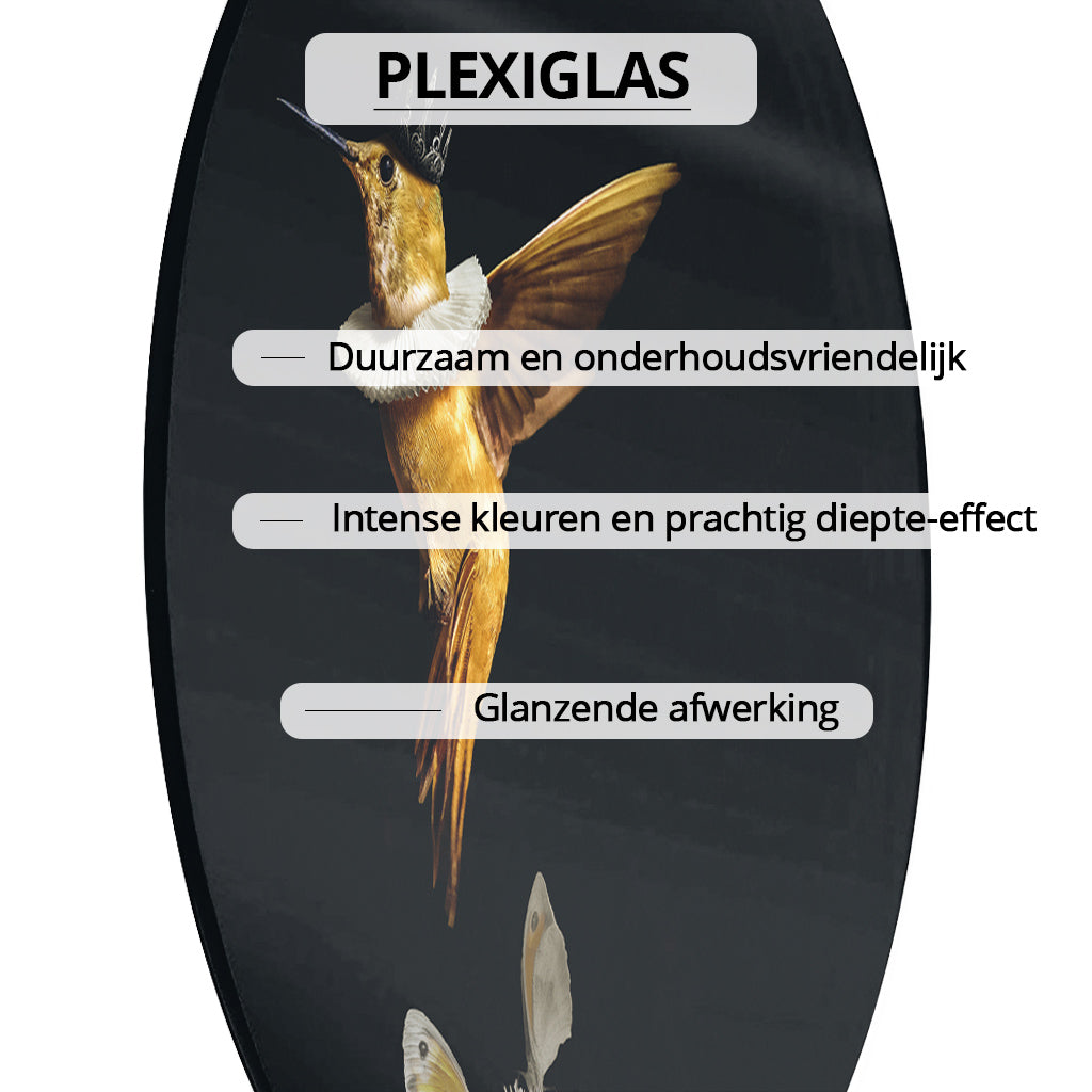 Royal Hummingbird RND