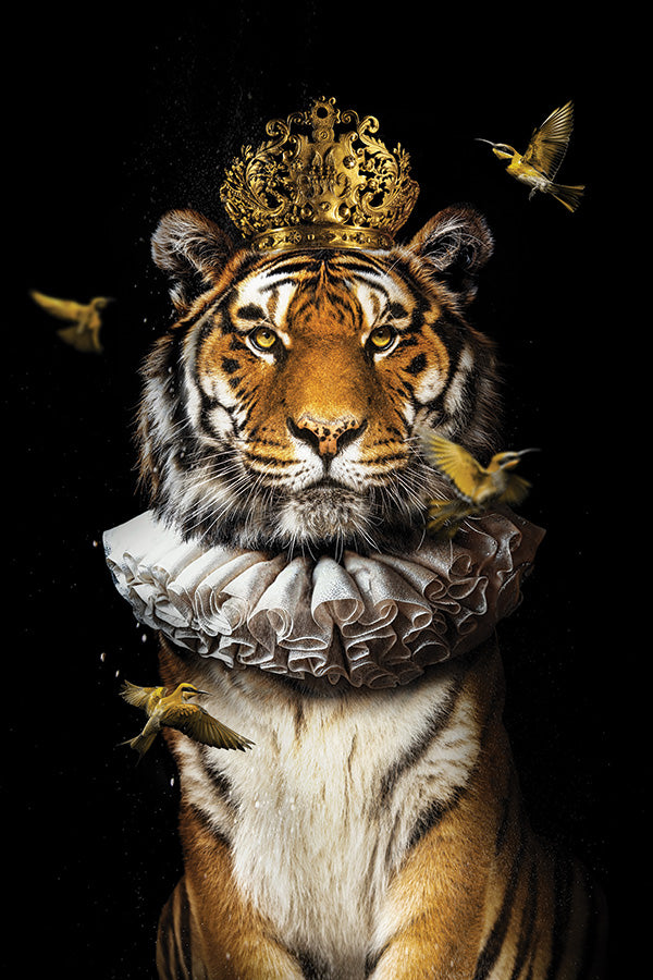 Royal Tiger