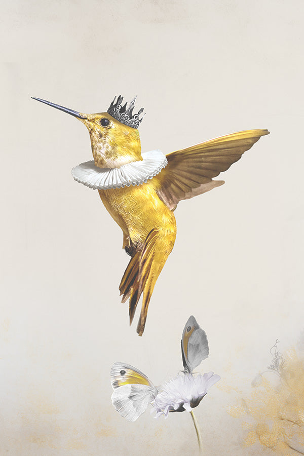 Königliches Kolibri-Licht