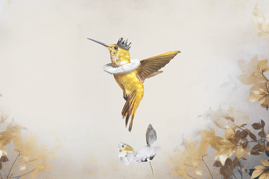 Royal Hummingbird Light LS