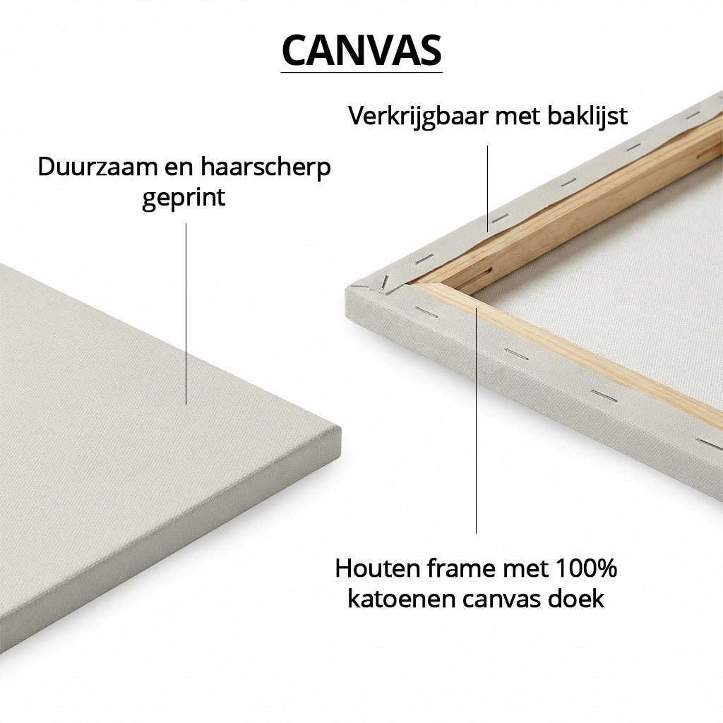 Royal Hummingbird Light LS