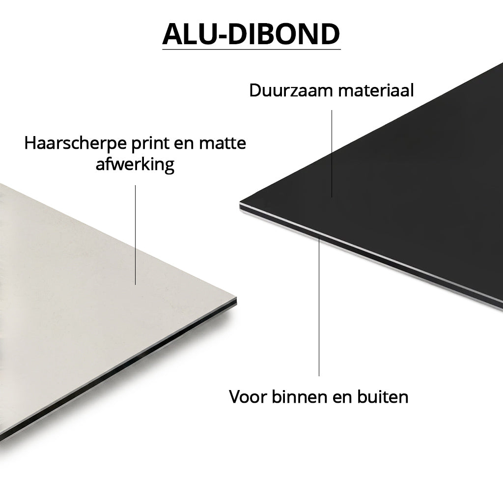 Royal Hummingbird Light LS