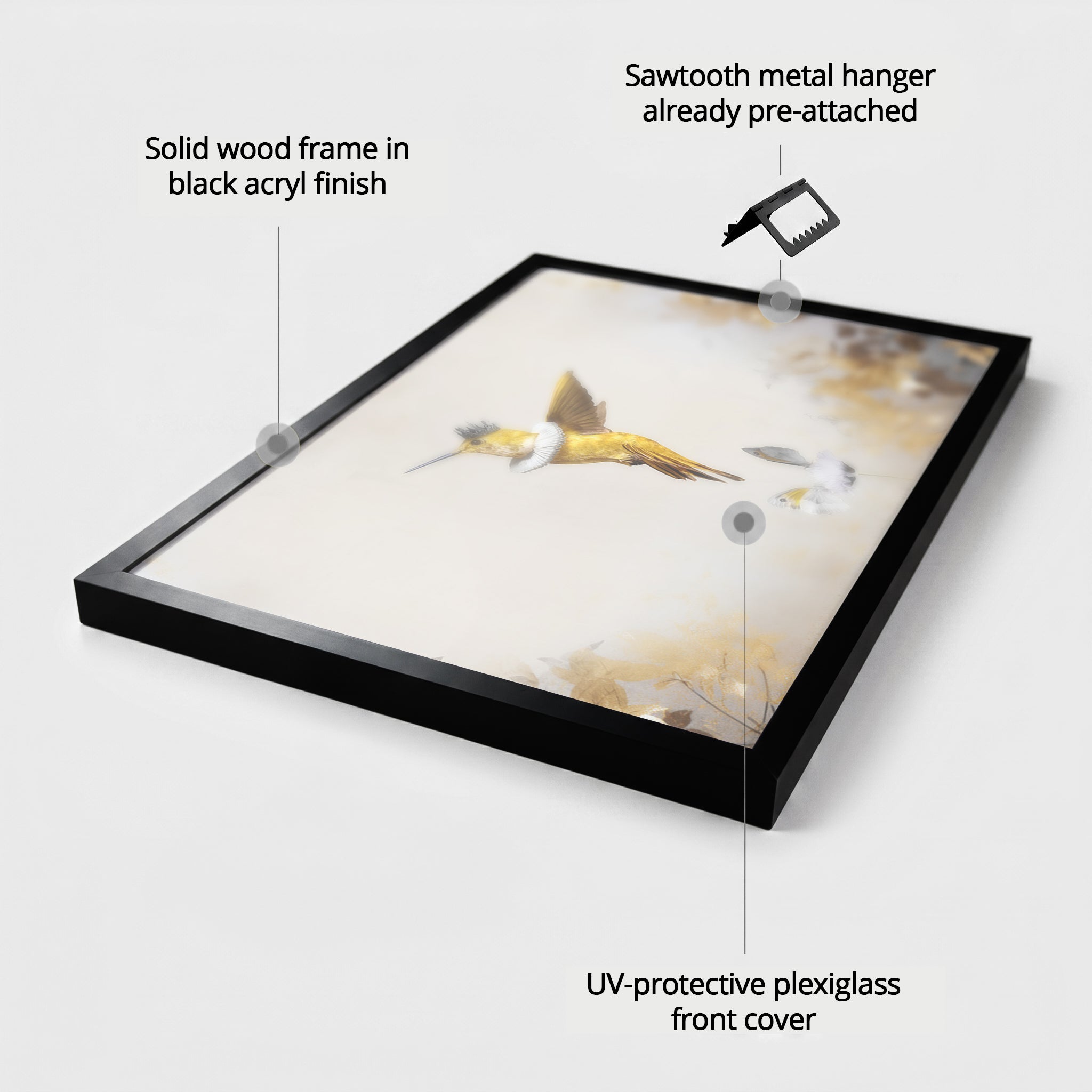 Royal Hummingbird Light LS EU