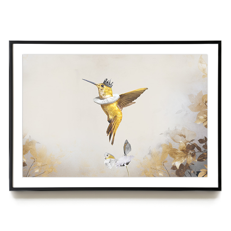 Royal Hummingbird Light LS EU