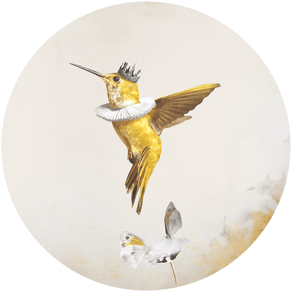 Royal Hummingbird Light RND