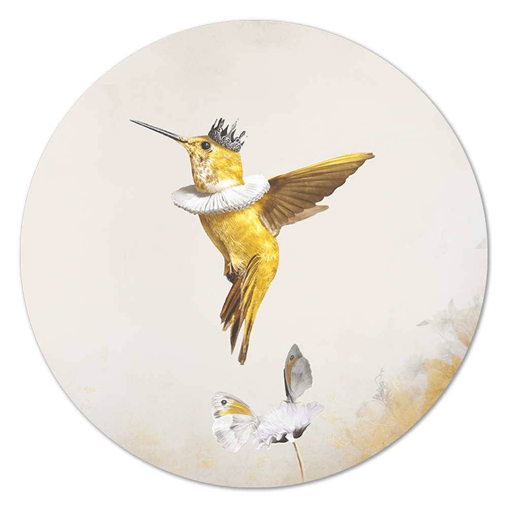 Royal Hummingbird Light RND