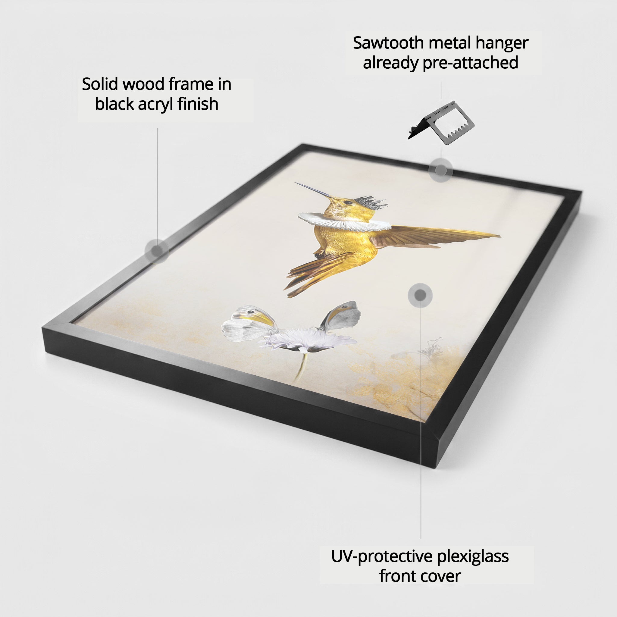 Royal Hummingbird Light EU