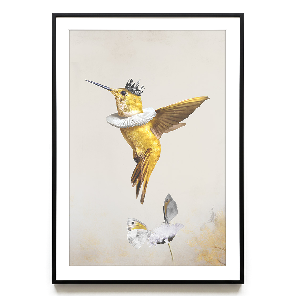 Royal Hummingbird Light EU