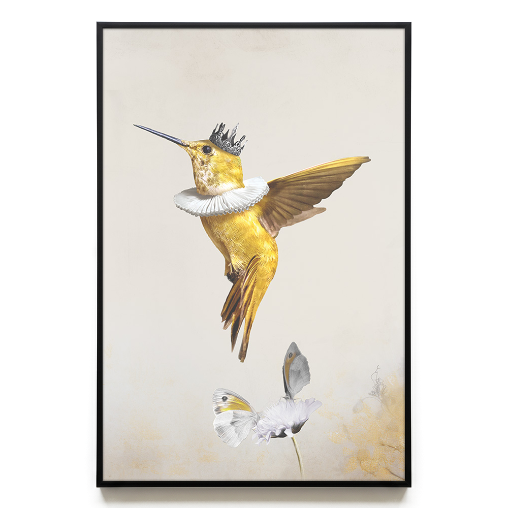 Royal Hummingbird Light EU