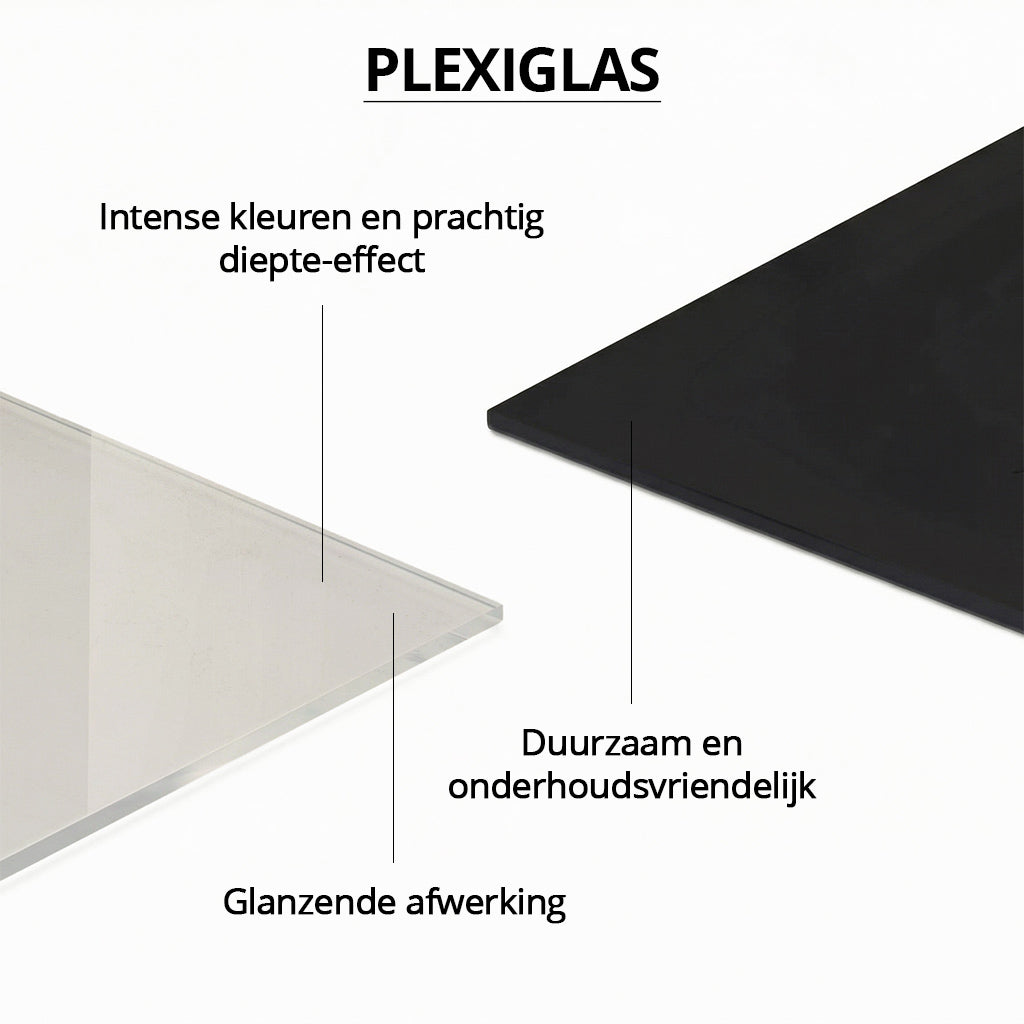 Royal Hummingbird Light PAN