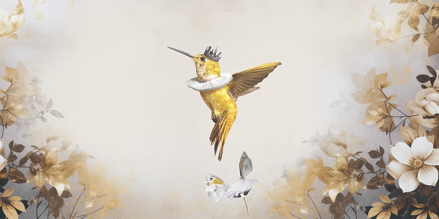 Royal Hummingbird Light PAN