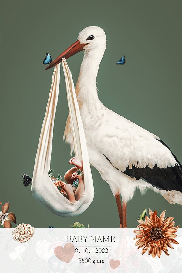 Birth Poster Stork Green