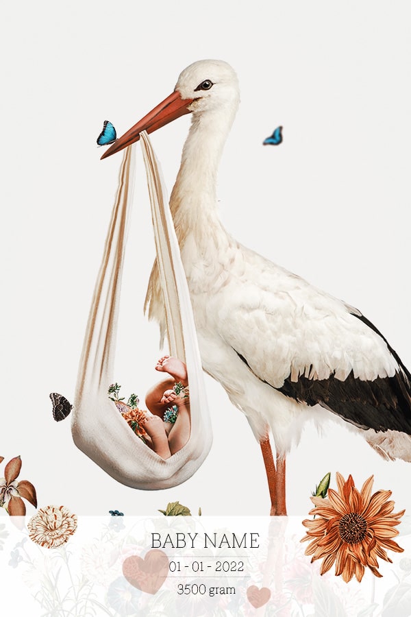 Birth Poster Stork White