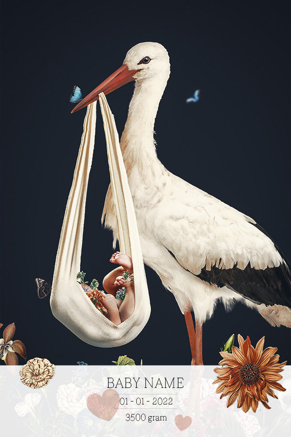 Birth Poster Stork Blue