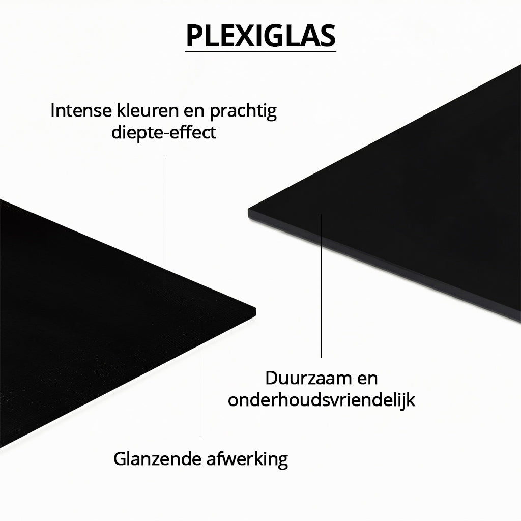 Three Little Birds Black & Gold