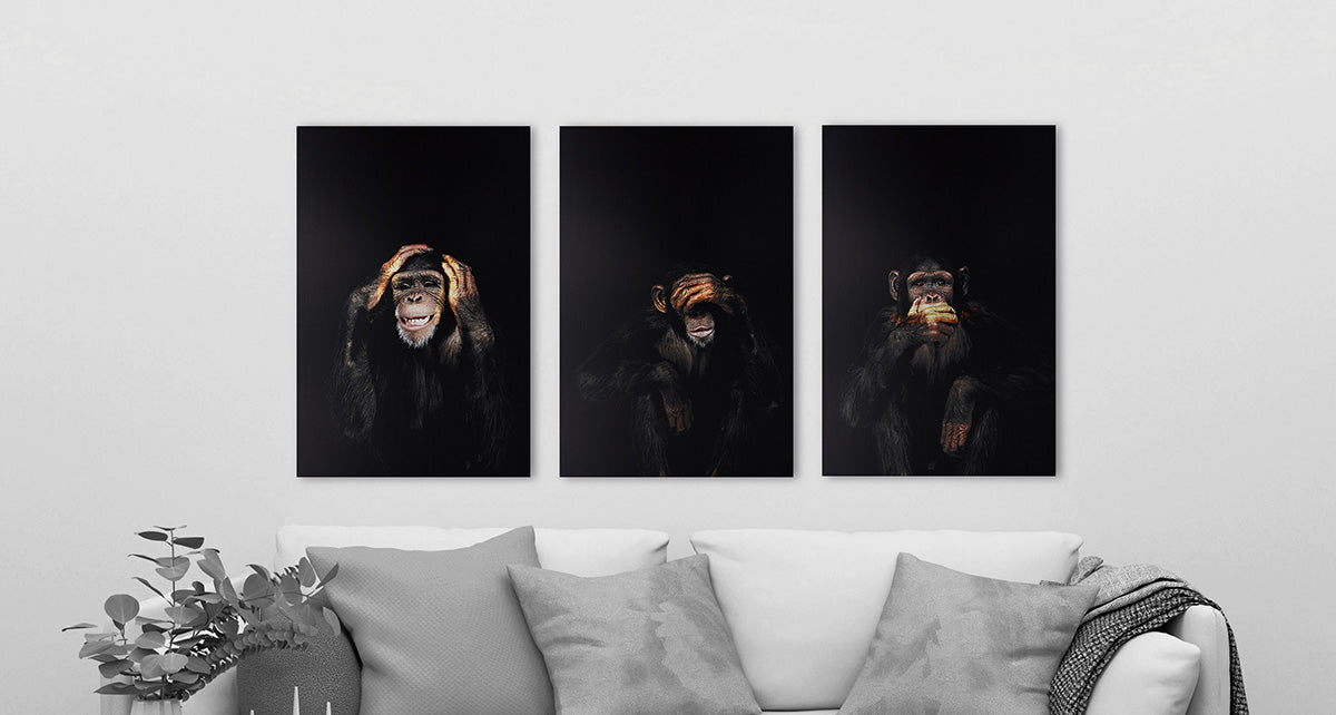 Monkey Speak No Evil