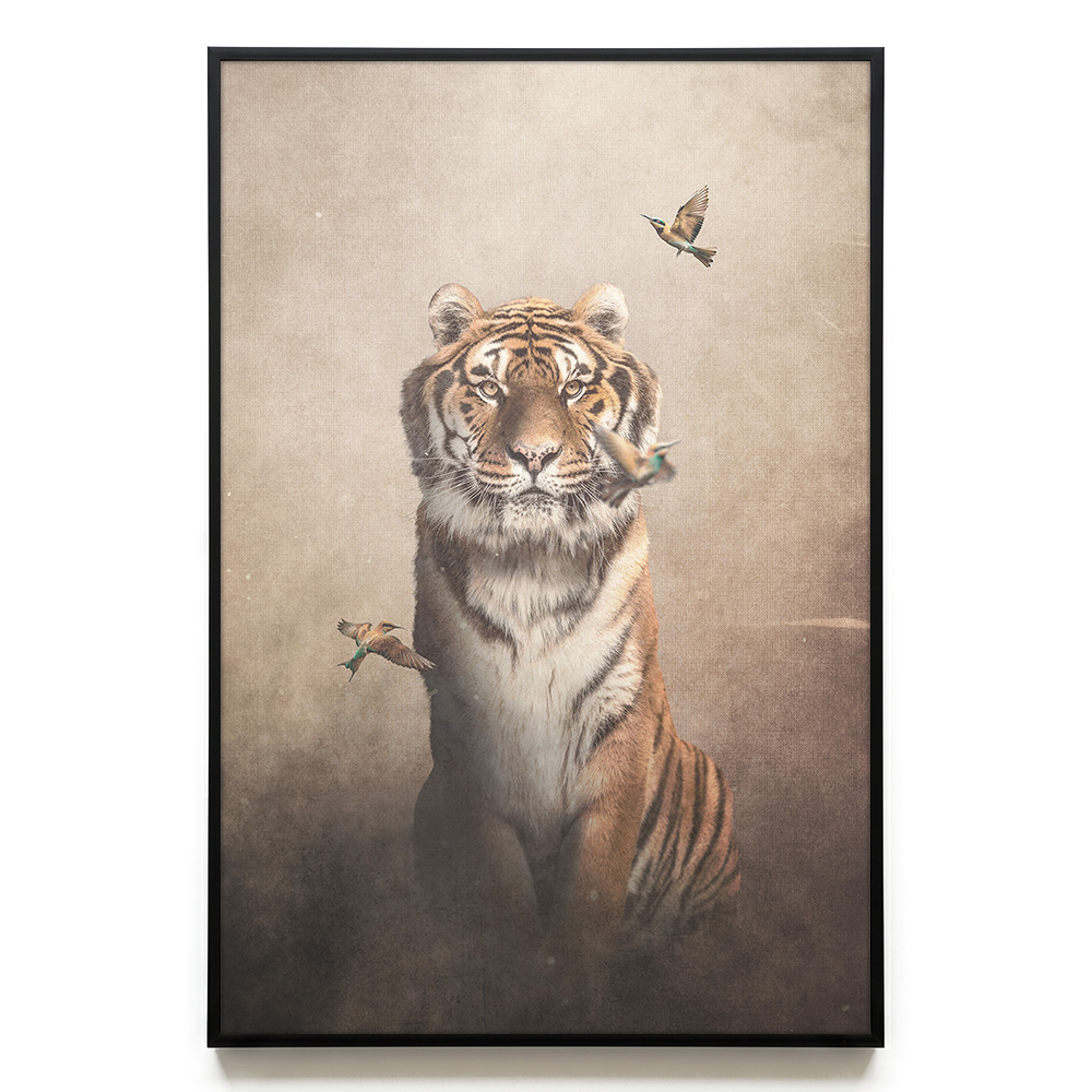 Tiger with Bee-eaters Light EU
