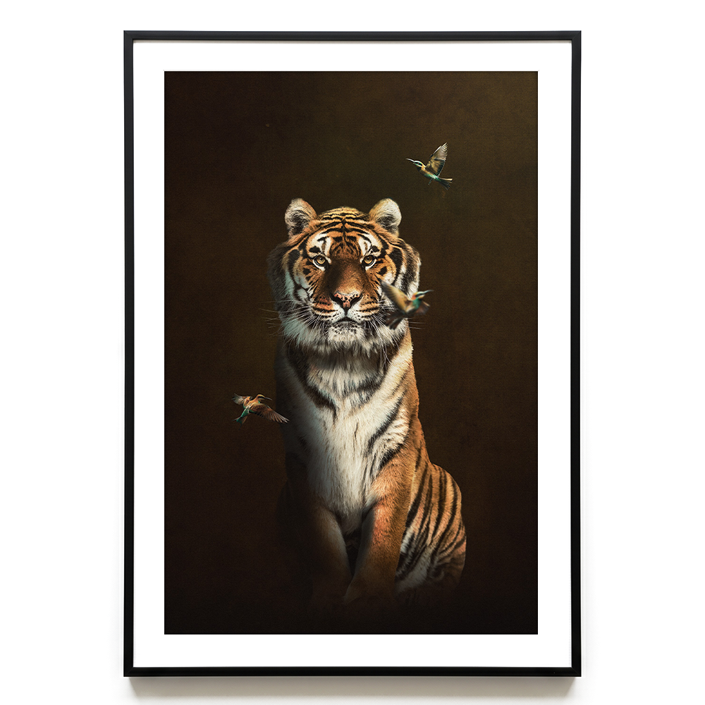Tiger with Bee-eaters EU
