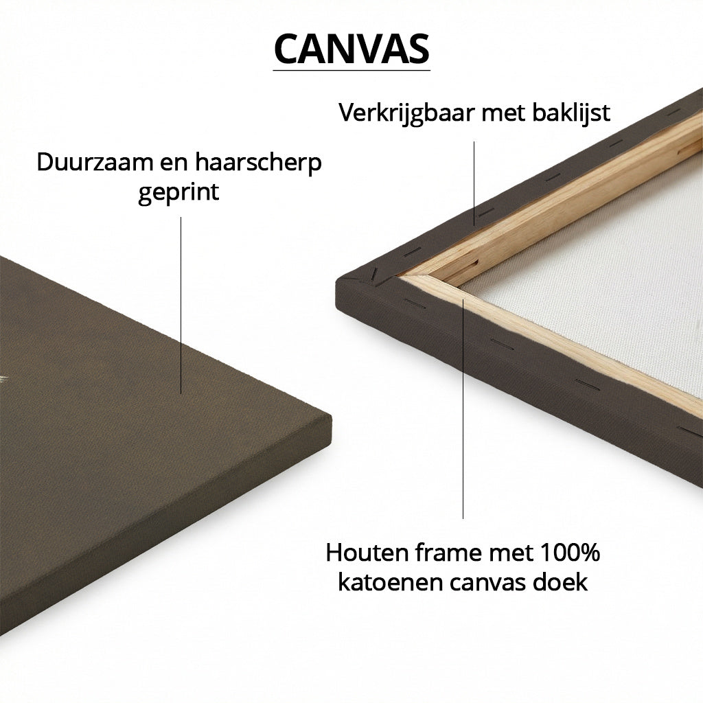 Tiger with Bee-eaters