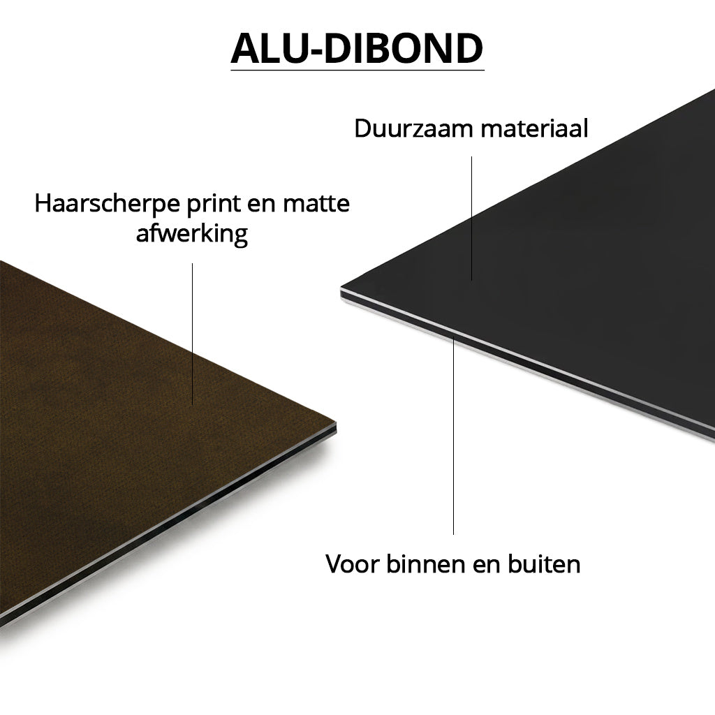 Tiger with Bee-eaters