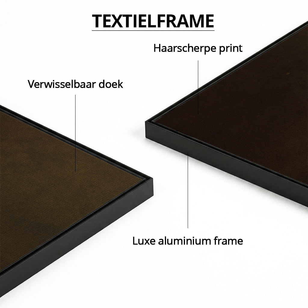 Tiger with Bee-eaters