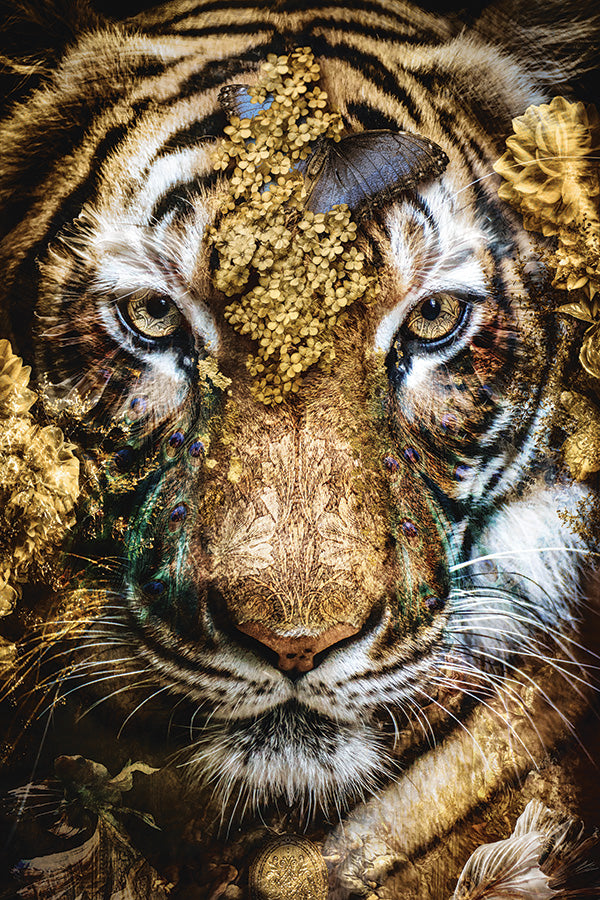 Tiger Limited Edition