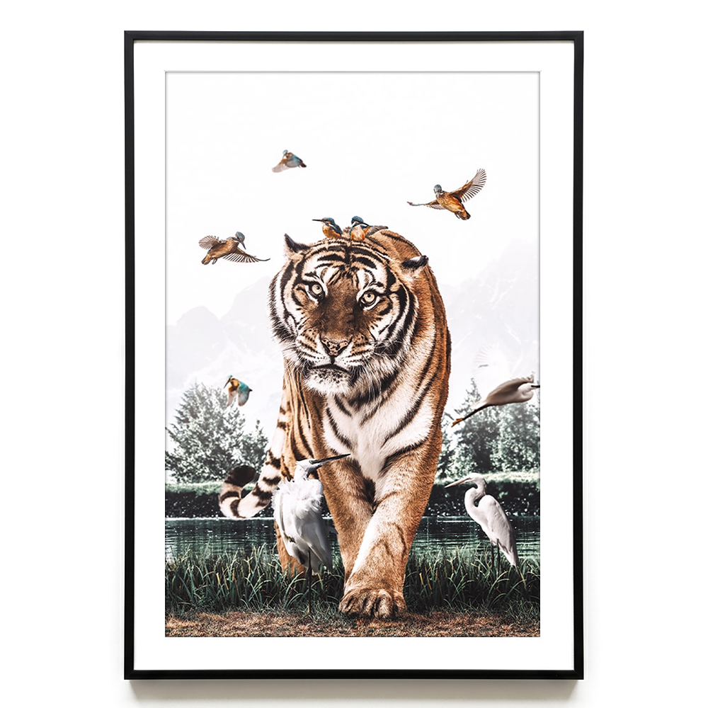 Tiger #3 EU